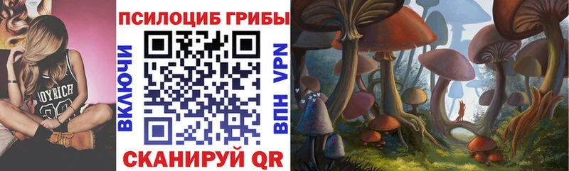 дарнет шоп  Зуевка  ссылка на мегу онион  Псилоцибиновые грибы GOLDEN TEACHER 